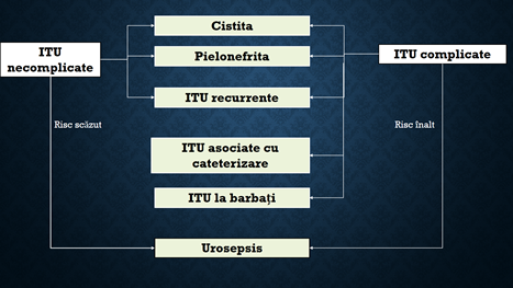Calsificare ITU