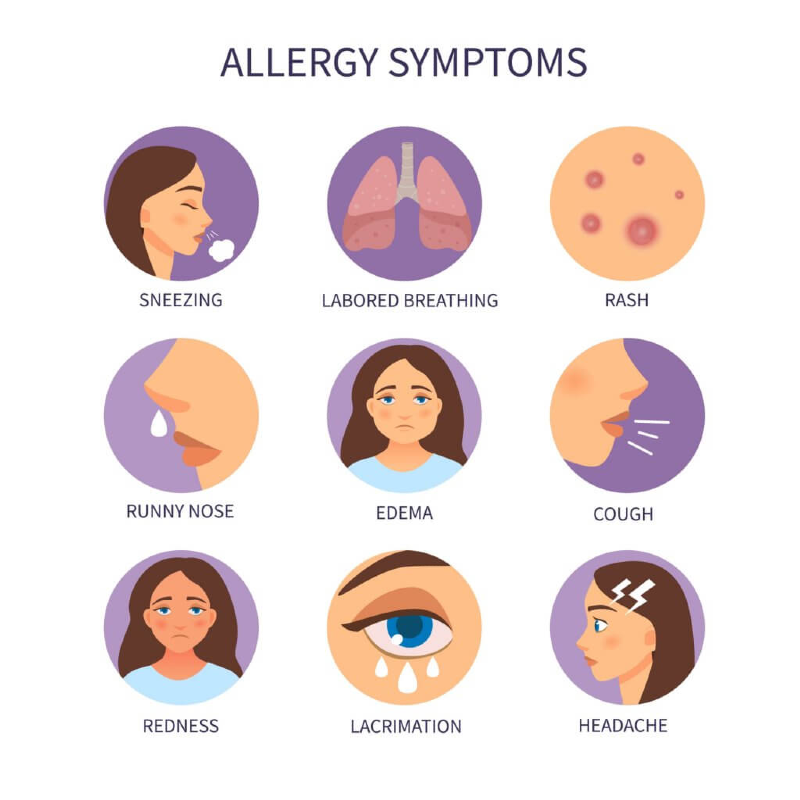 Fiziopatologia alergiilor